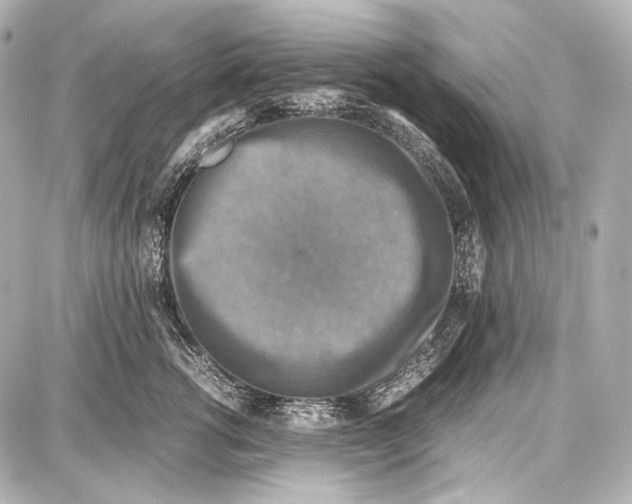 X0000087010762200705141831