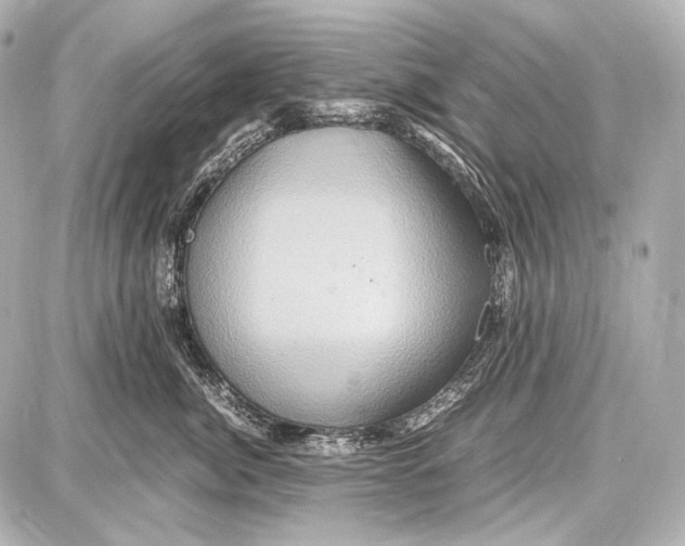 X0000087010764200705141831