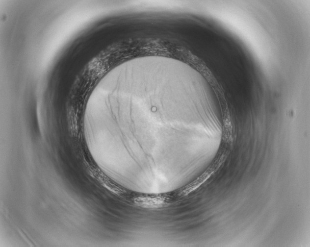 X0000087010765200705141831