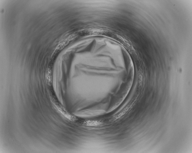 X0000087010766200705141831