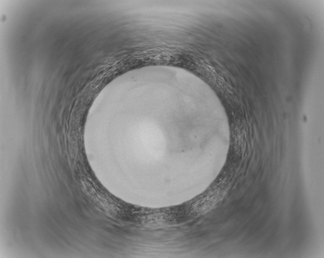 X0000087010769200705141830