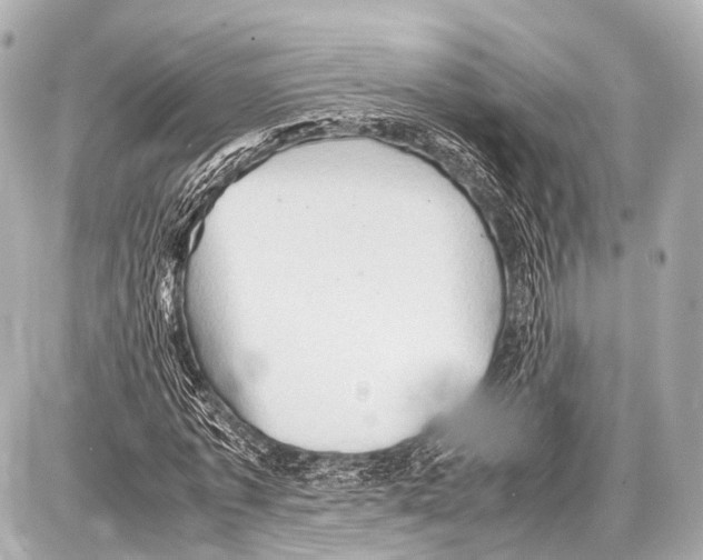 X0000087010773200705141830