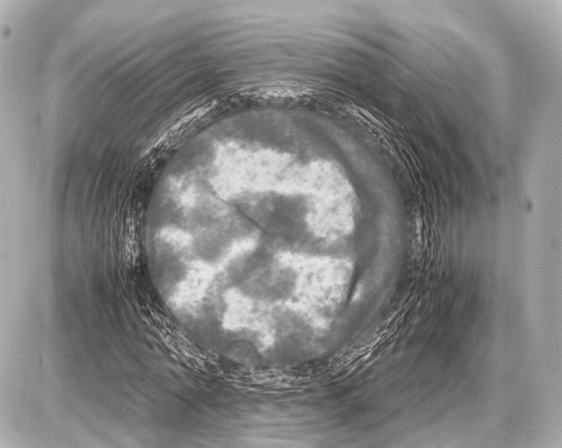 X0000087010774200705141830