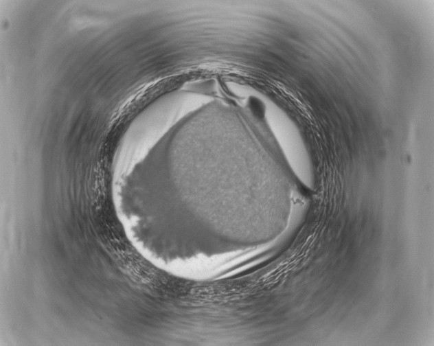 X0000087010776200705141830