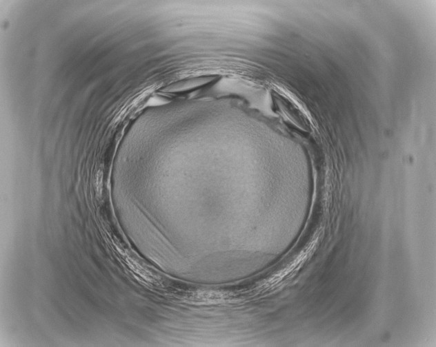 X0000087010777200705141830