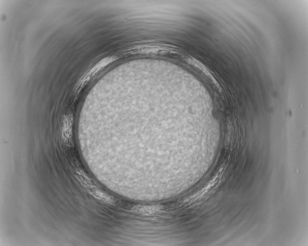 X0000087010778200705141830