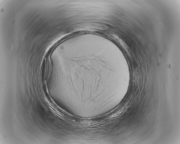 X0000087010779200705141830