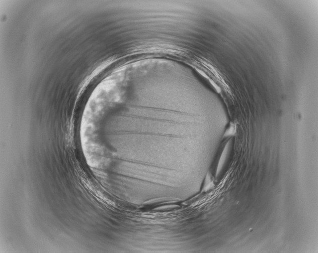 X0000087010780200705141830