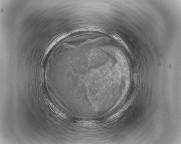 X0000087010781200705141830