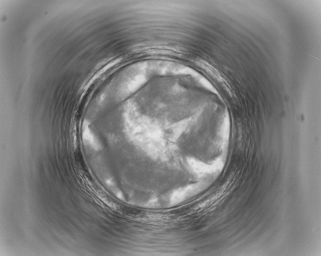 X0000087010782200705141830