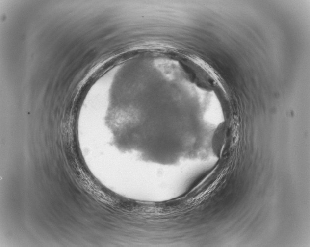 X0000087010783200705141830