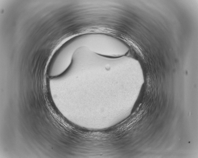 X0000087010784200705141830