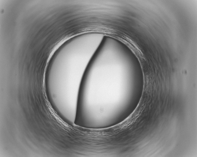 X0000087010788200705141830