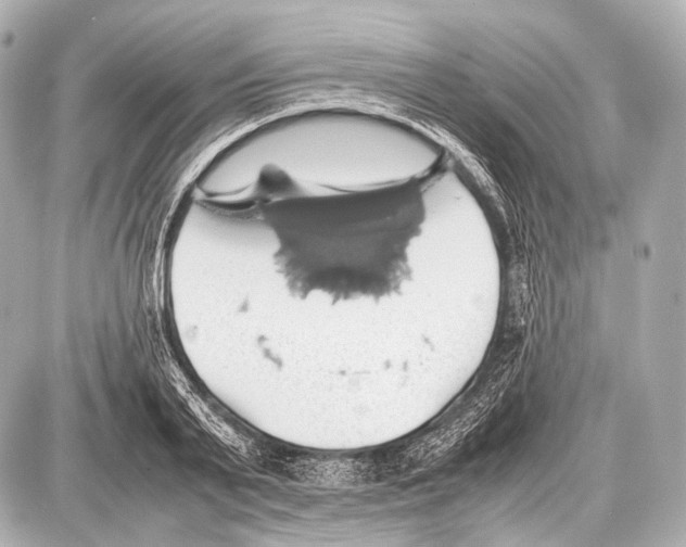 X0000087010791200705141830