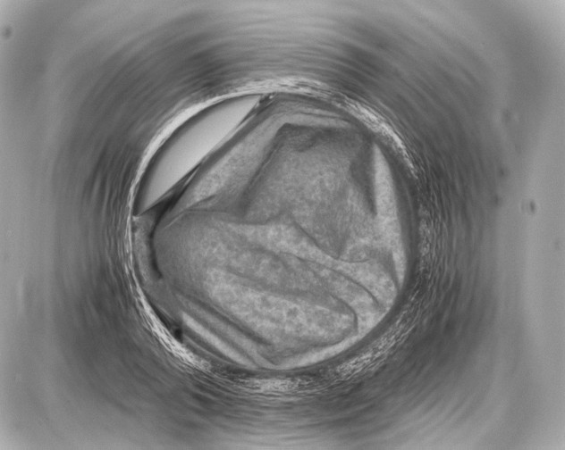 X0000087010792200705141830