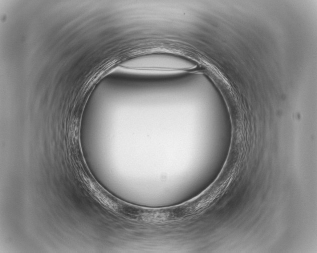 X0000087010793200705141830