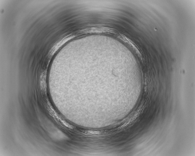 X0000087010794200705141830