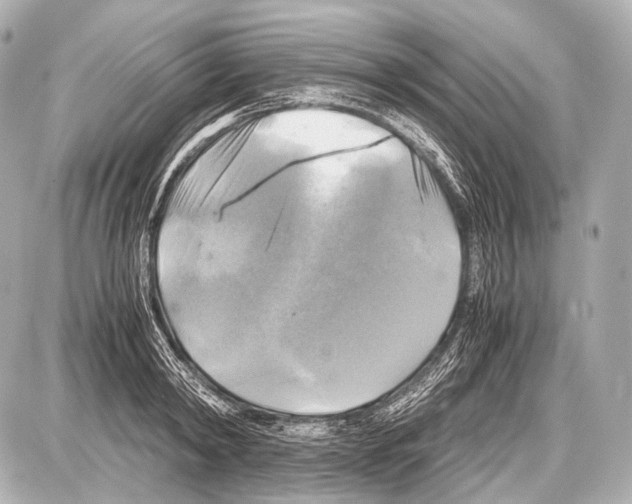 X0000087010798200705141830