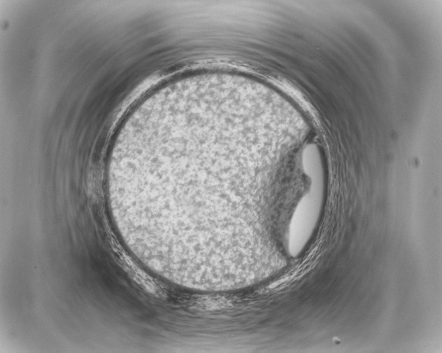 X0000087010799200705141830