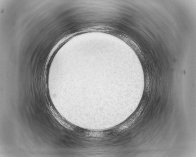 X0000087010800200705141830