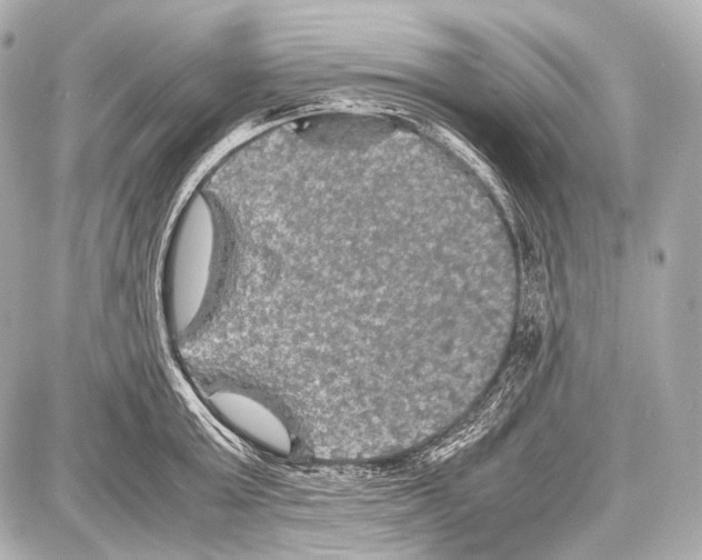 X0000087010803200705141830