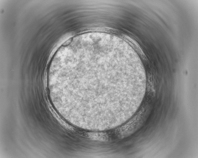 X0000087010804200705141830