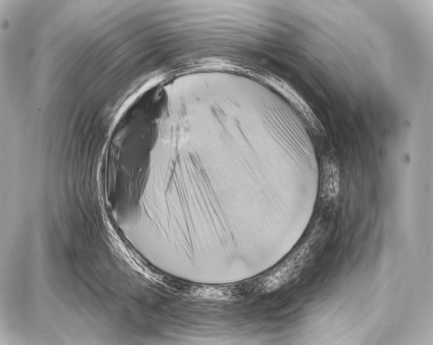 X0000087010806200705141830