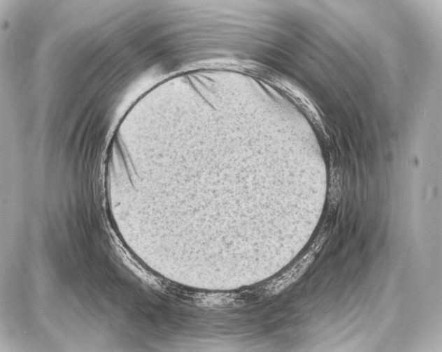 X0000087010808200705141830