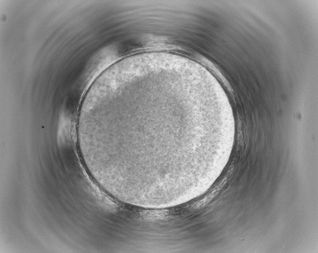 X0000087010810200705141830