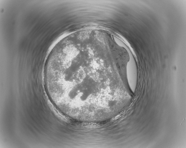 X0000087010811200705141830