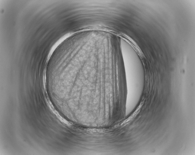 X0000087010812200705141830