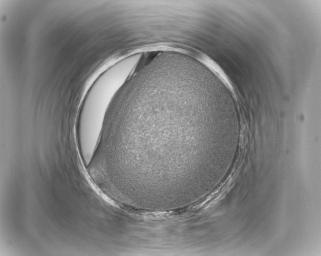 X0000087010813200705141830