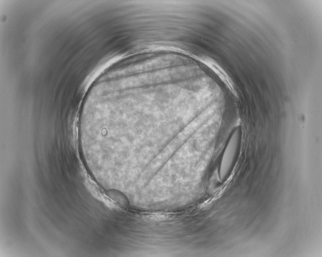 X0000087010814200705141830