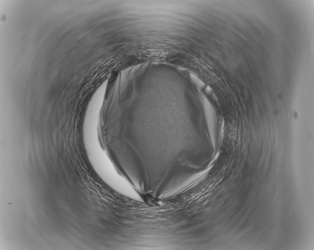 X0000087010818200705141829