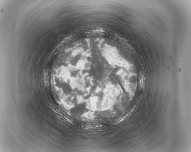 X0000087010819200705141829