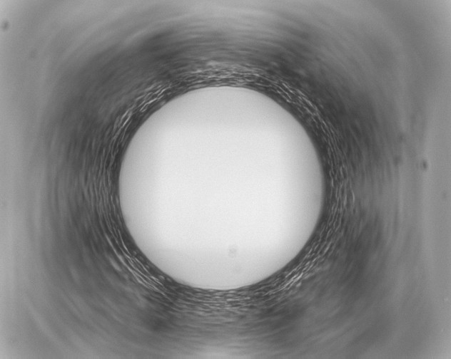 X0000087010820200705141829