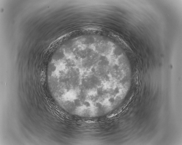 X0000087010821200705141829