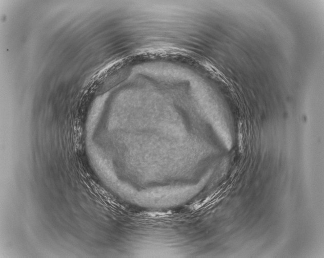 X0000087010822200705141829