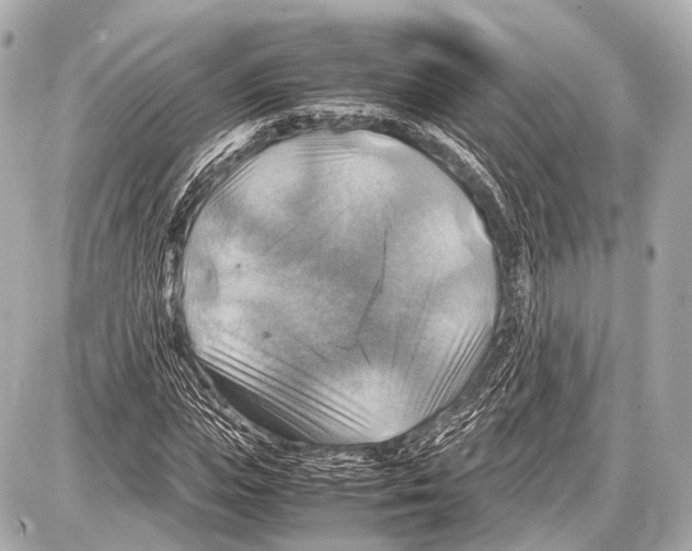 X0000087010823200705141829