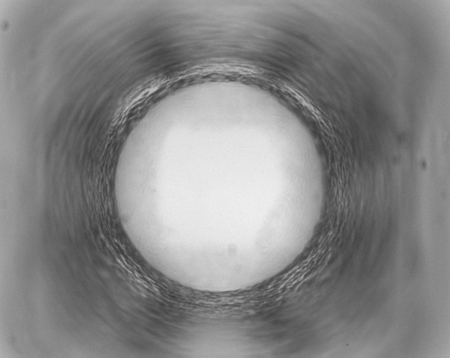 X0000087010824200705141829