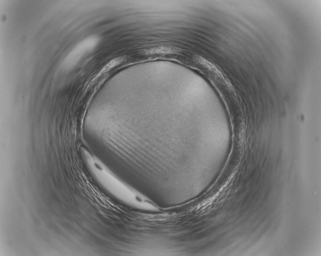 X0000087010825200705141829