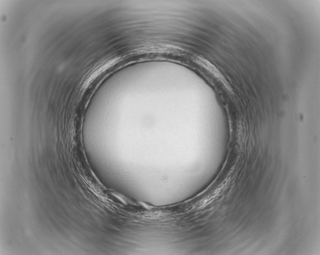 X0000087010826200705141829