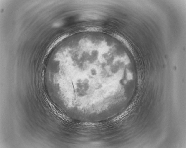 X0000087010827200705141829