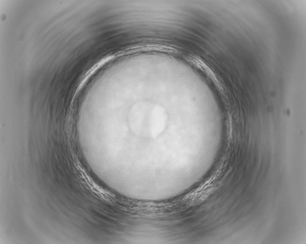 X0000087010828200705141829