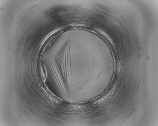 X0000087010829200705141829