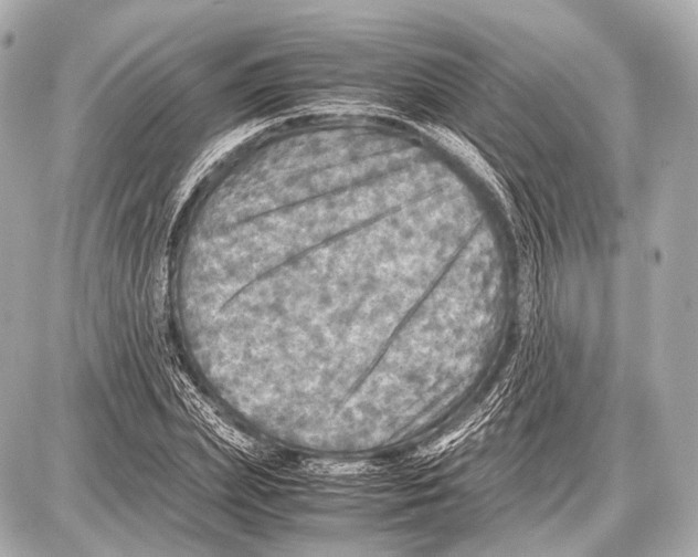 X0000087010831200705141829