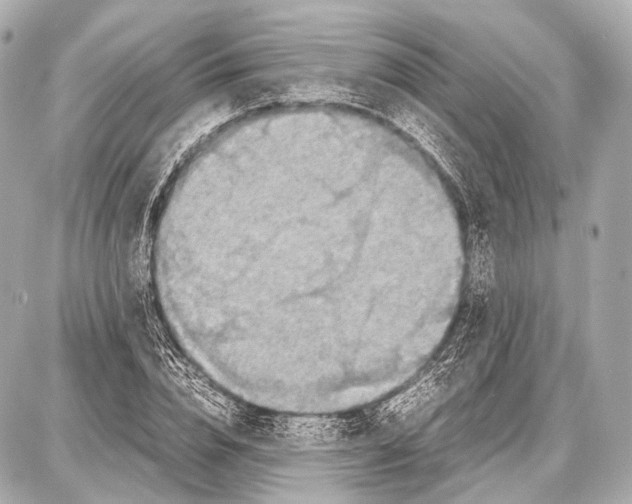 X0000087010832200705141829