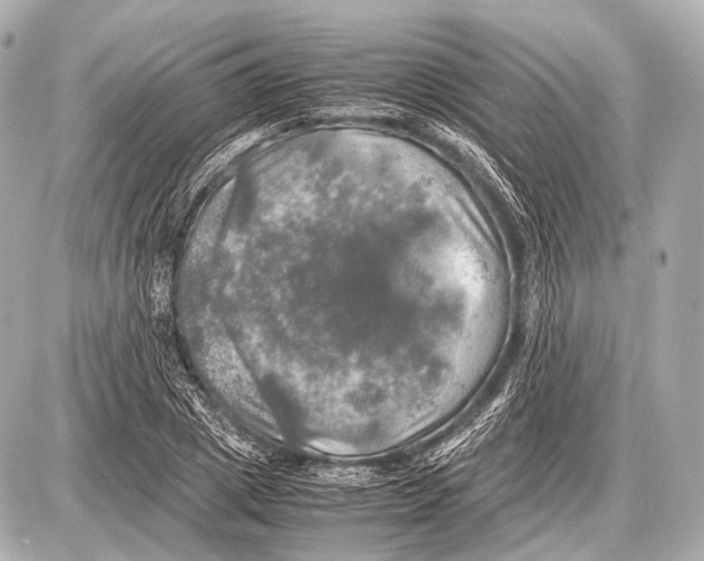 X0000087010833200705141829