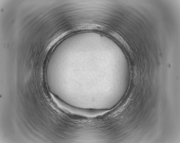 X0000087010834200705141829