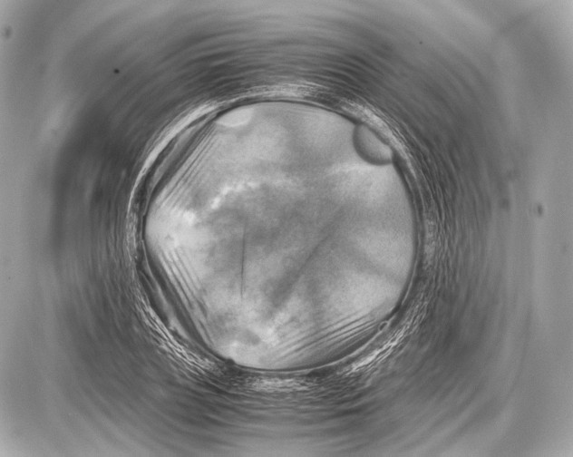 X0000087010835200705141829